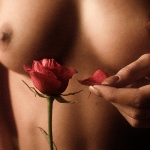 роза и грудь                      